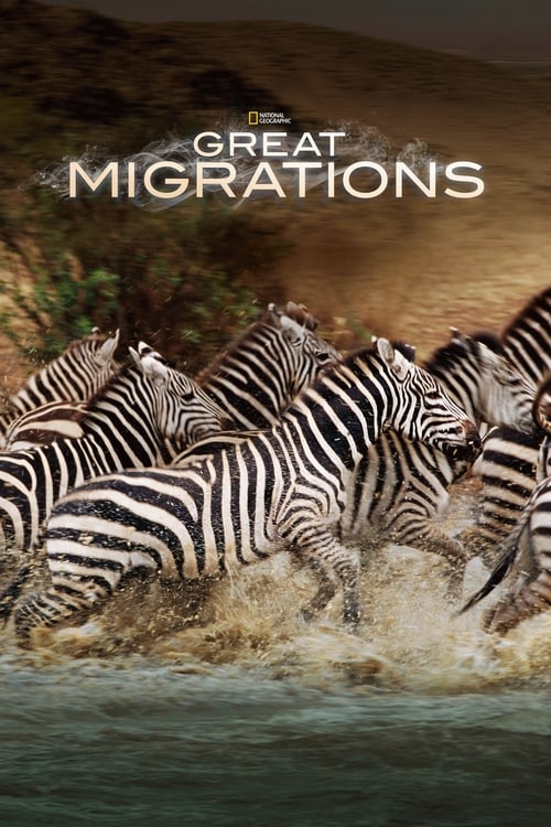 Great Migrations : 1.Sezon 6.Bölüm