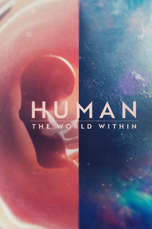 Human The World Within : 1.Sezon 1.Bölüm