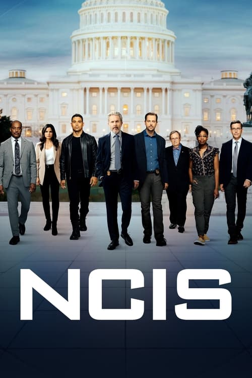 NCIS : 13.Sezon 8.Bölüm