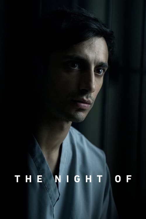 The Night Of : 1.Sezon 4.Bölüm