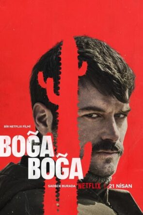 Boğa Boğa (2023)