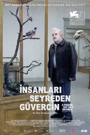 İnsanları Seyreden Güvercin (2014)