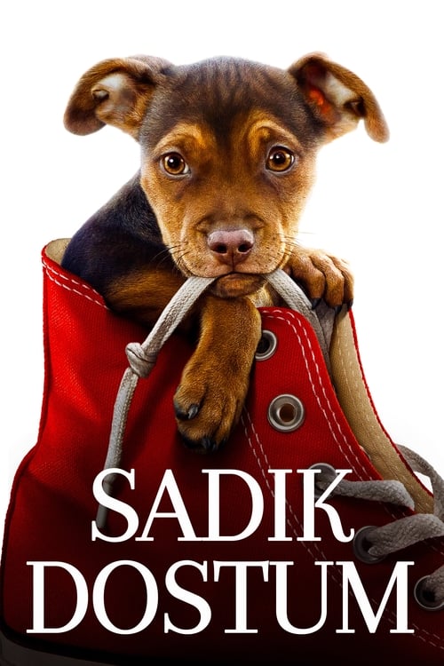 Sadık Dostum (2019)