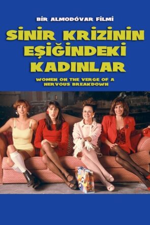 Sinir Krizinin Eşiğindeki Kadınlar (1988)