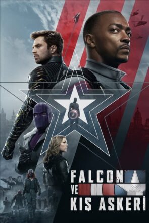 The Falcon and the Winter Soldier