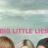 Big Little Lies : 1.Sezon 7.Bölüm izle